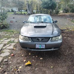 2004 Ford Mustang