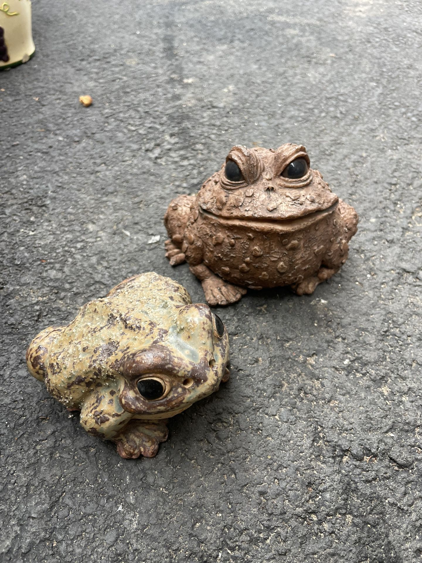 Toads 