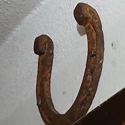 Old Lucky Horse Shoe!