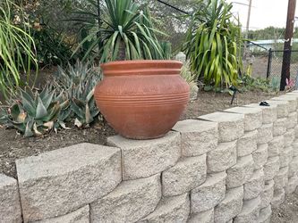Large Tera Cotta Pot