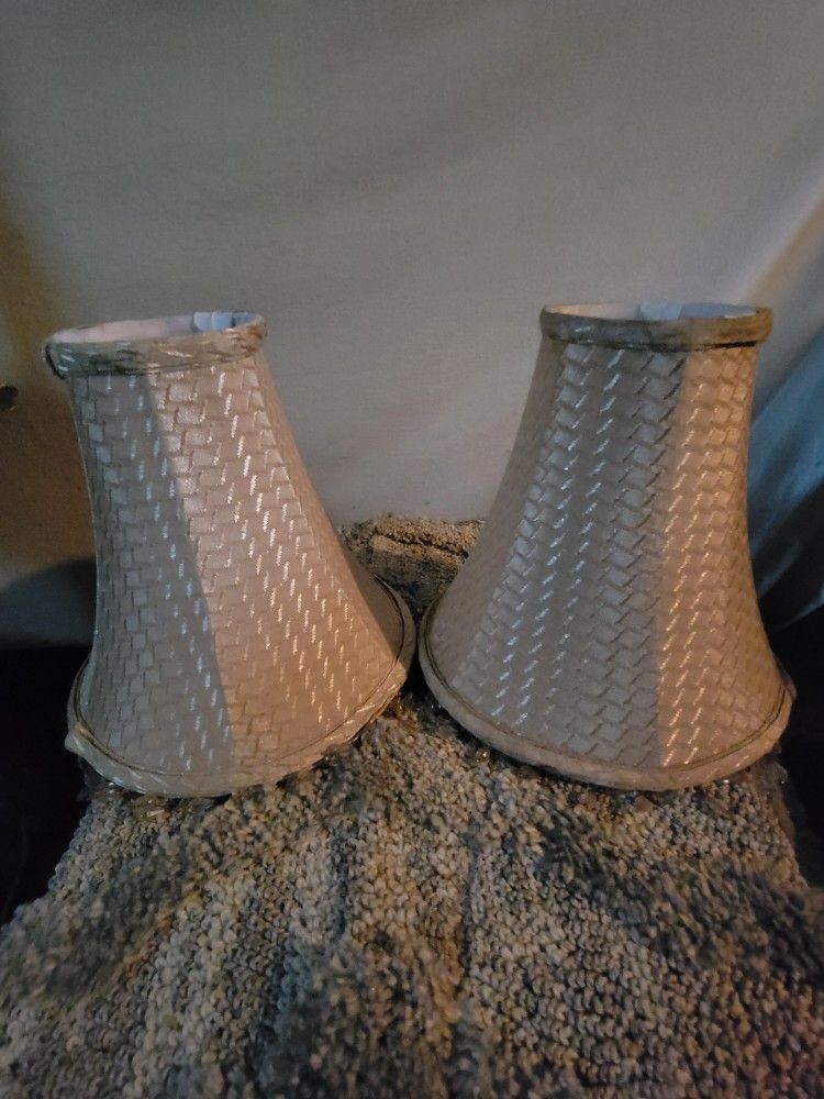 2/Beaded Trimmed 10 Inch Lamp Shades