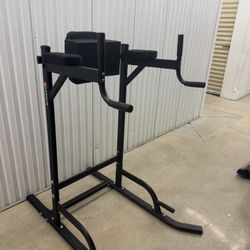 Leg Raise / Dip Equipment