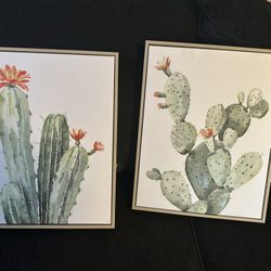Picture Frames/cactus