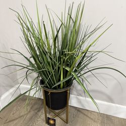 Planter 