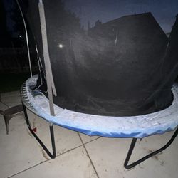Free Trampoline!