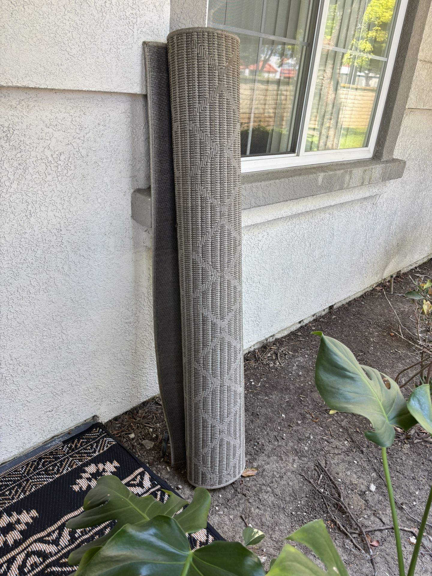 Area Rug