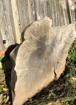 slab of wood