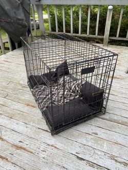Small Dog Crate