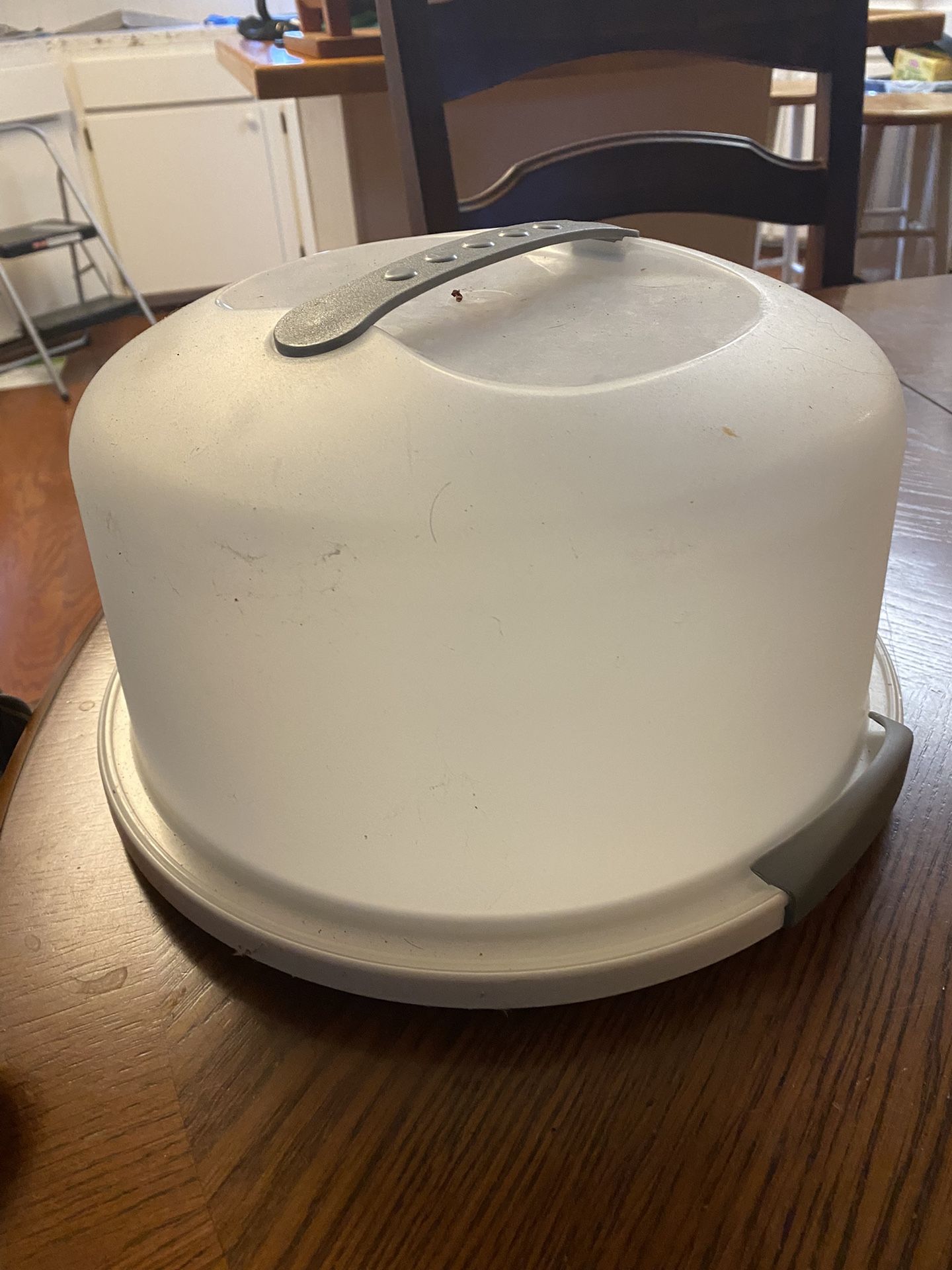 Cake Storage Container