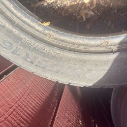 lionheart tires size 205 /55r16