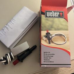 Weber Igniter Kit