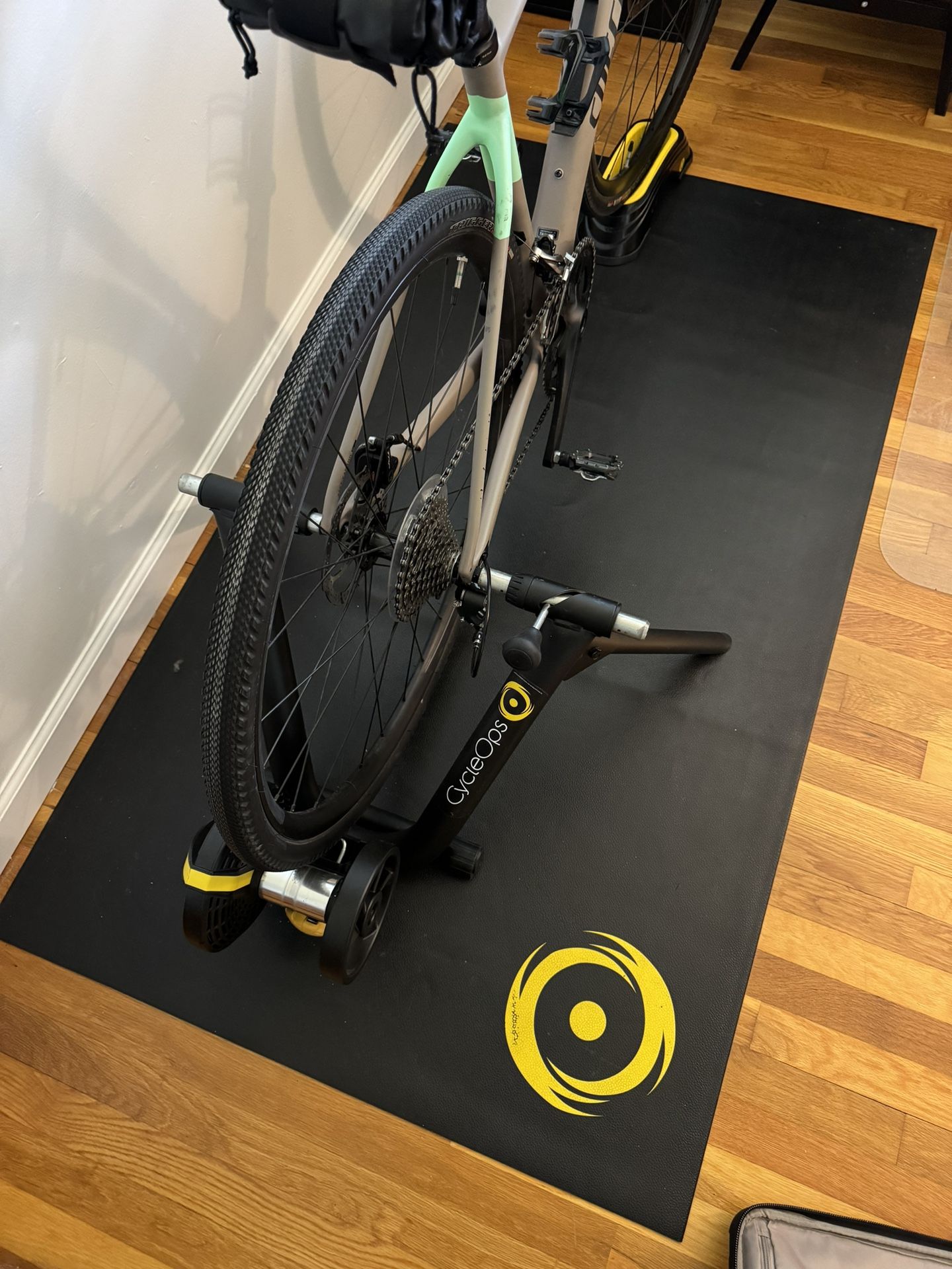 CycleOps Magnus Indoor Bike Trainer