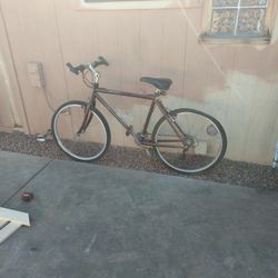 Giant Iguana 18inch  Bicycle Bike 26 Inch Wheels Woman's 