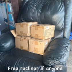 Free Recliner 