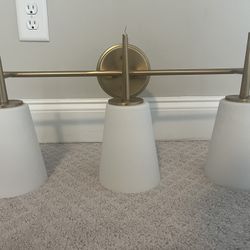 Bathroom Vanity Light Fixture