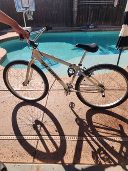 Big Ripper Mountain Bike