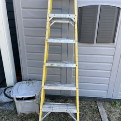 6 Foot ladder