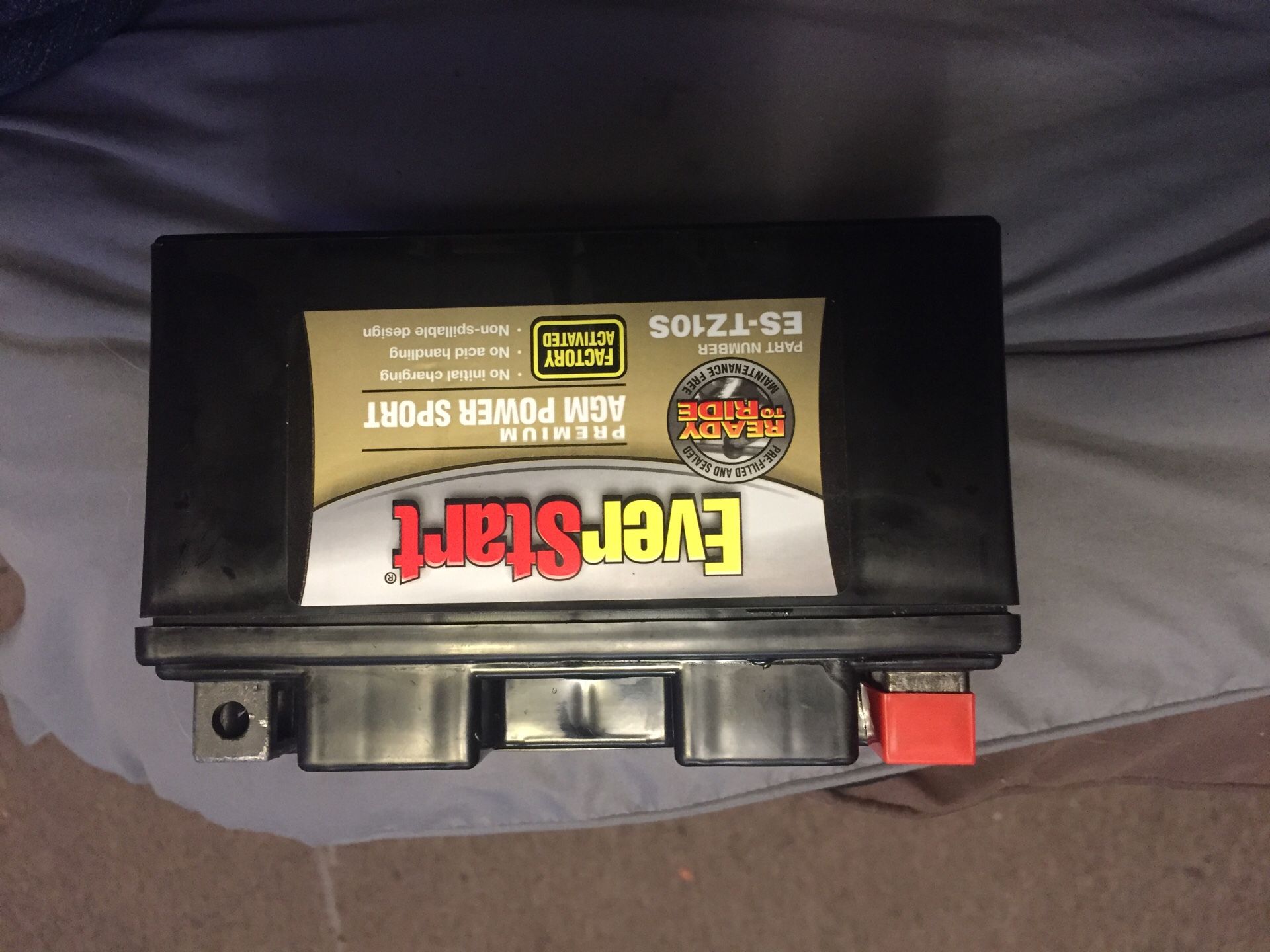 EverStart ES-TZ10S PREMIUM AGM POWER SPORT Battery