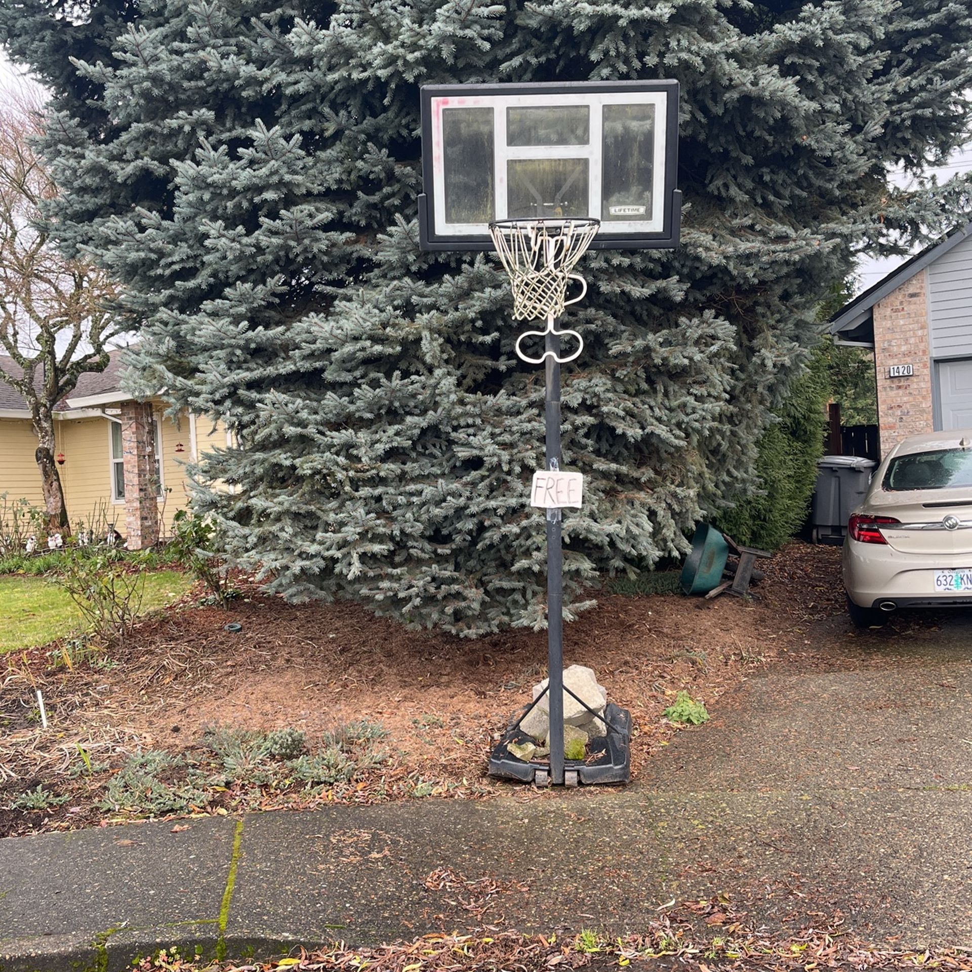 Free Metal BB hoop