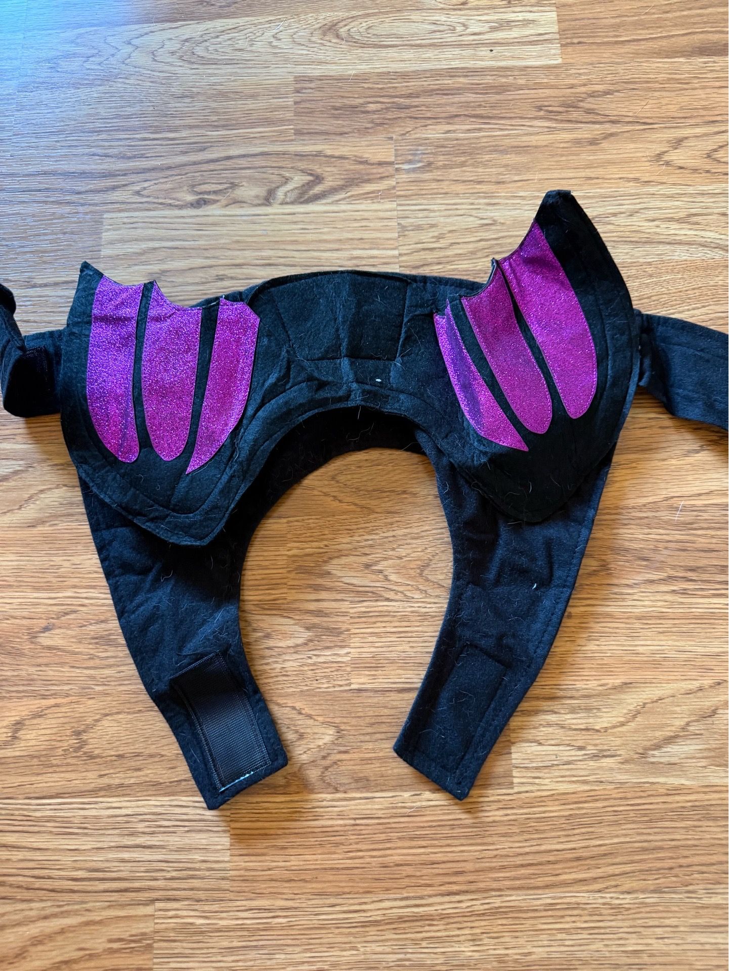 Dog Dragon Costume Wings