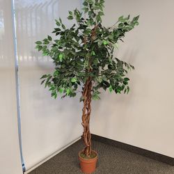 Artificial Trees For Sale 