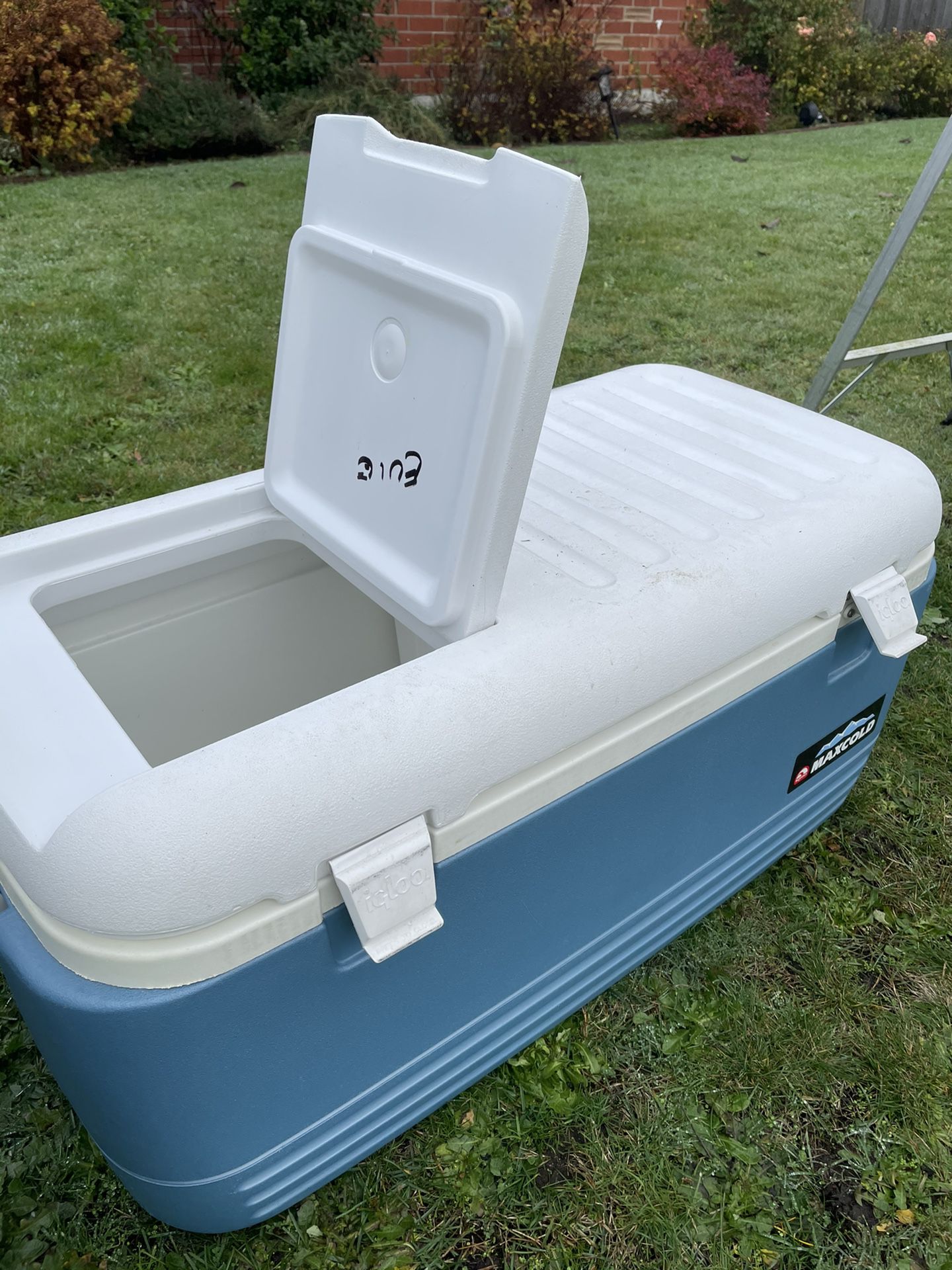 Large Igloo Maxcold Cooler