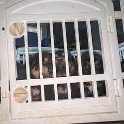 Dog Kennel, Playpen