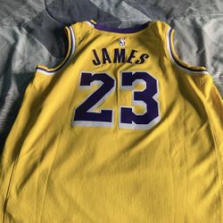 LeBron James Jersey 