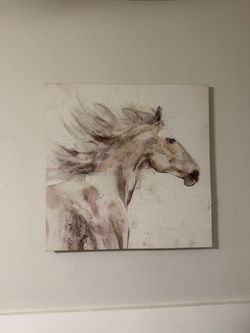 Horse canvas