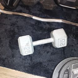 25 Pound Dumbbell 
