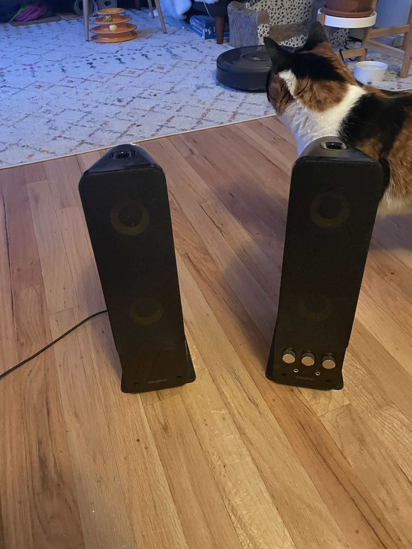 Surround Sound Speakers