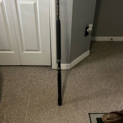 star rod aerial boat rod