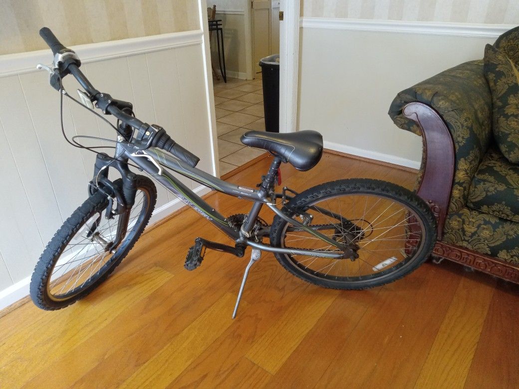Raleigh Mtn Scout Youth Mountain Bike