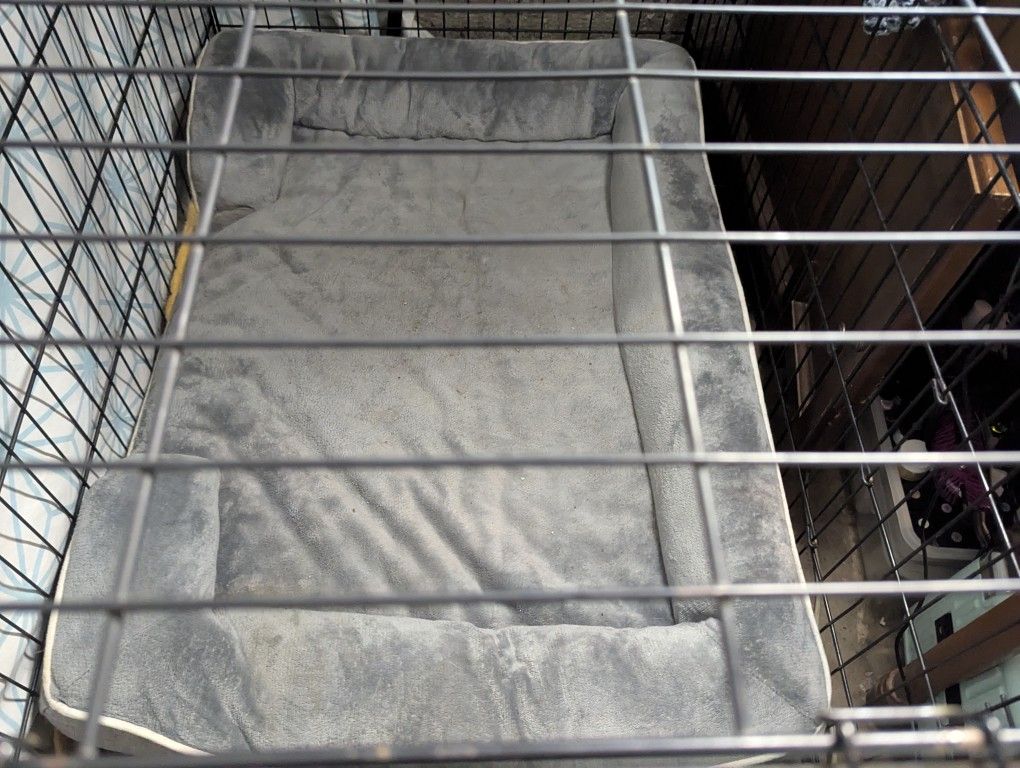 Ex Large Dog Kennel