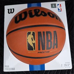 Wilson Basketball  Adul Size 7 