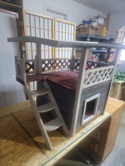 Beautifull cat house must see