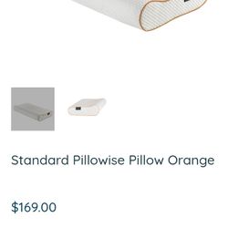 Pillowise Pillow new 