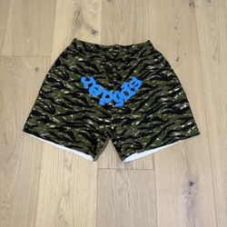 Sp5der OG Web Tiger Camo Shorts 