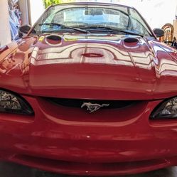 1997 Ford Mustang SVT Cobra