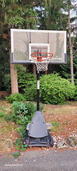 Free basketball hoop
