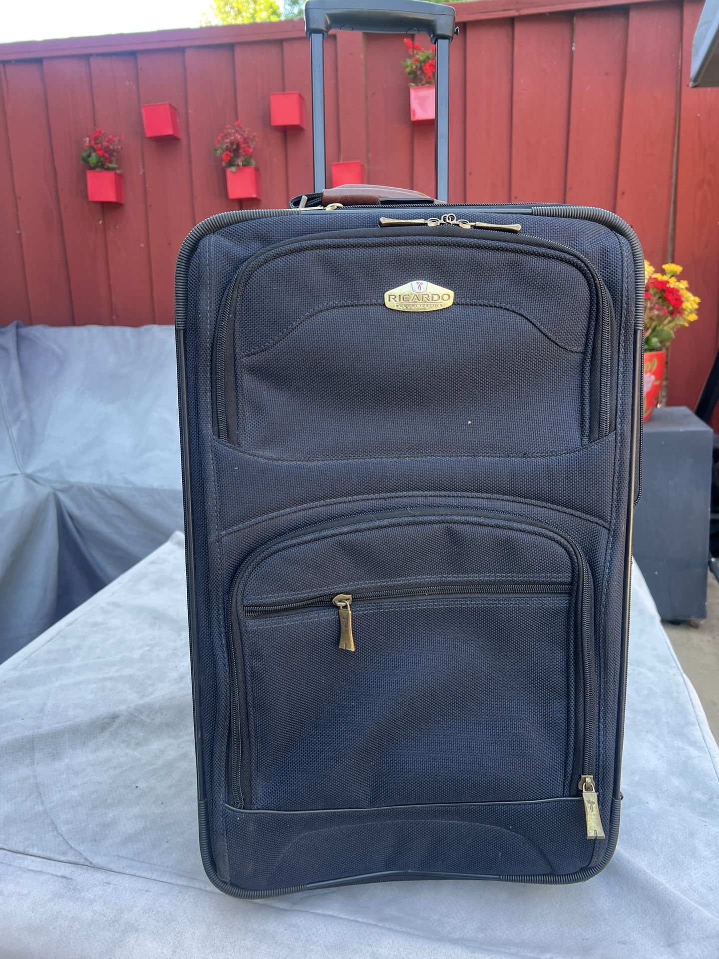 Large Luggage