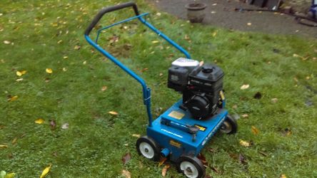 Bluebird 2024 lawn dethatcher