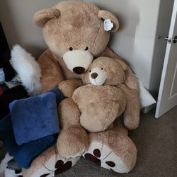 Costco Giant Bear And Medium Bear