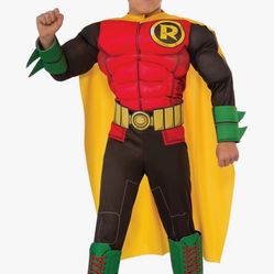 Robin from Batman and Robin DC Halloween costume Size Large Ages 10-14