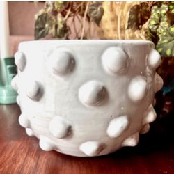 Unique Handmade Fem Rosa Terra Cotta Planter / Pot