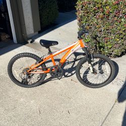 20” Kids Mountain Bike 