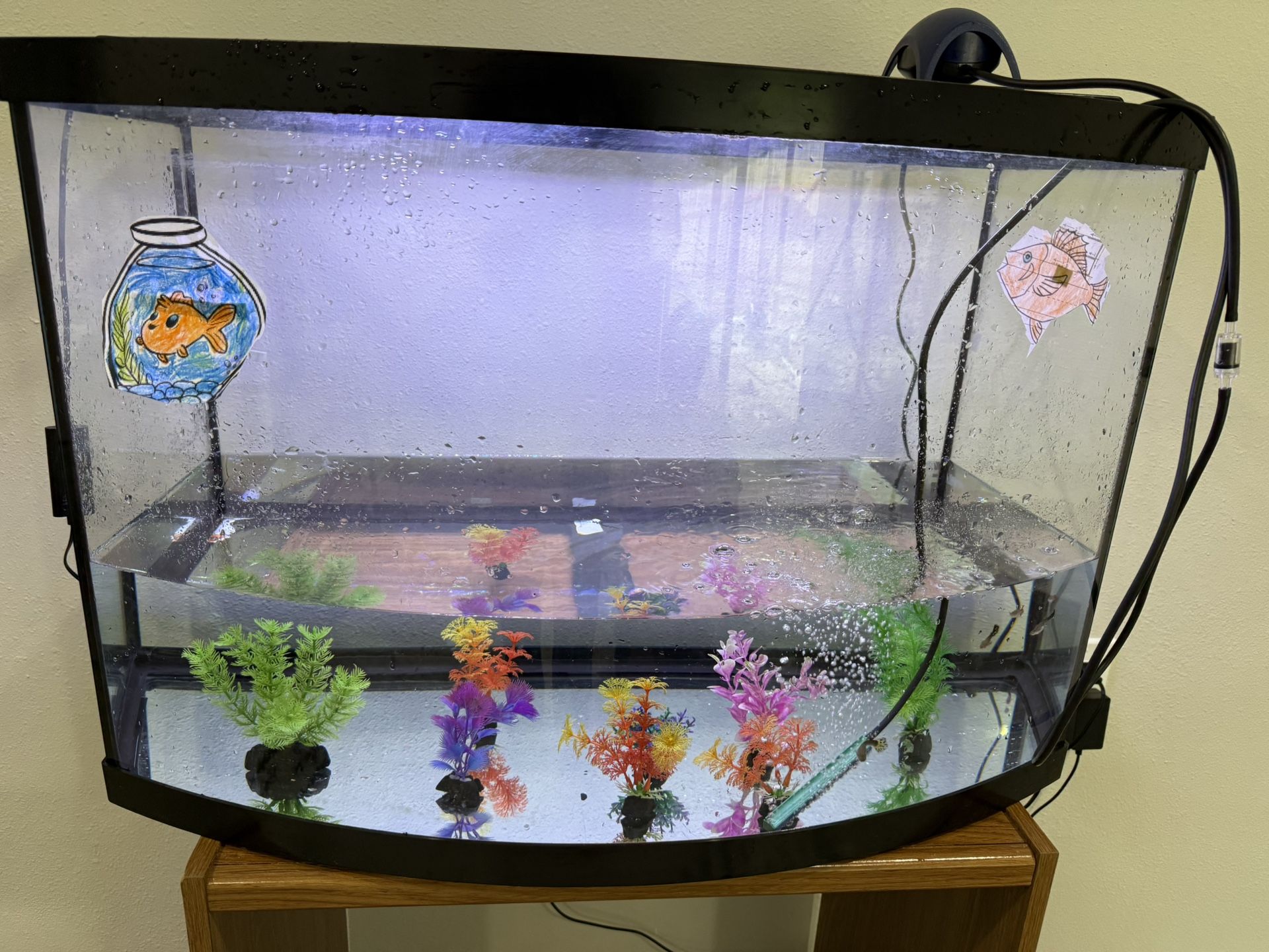 30x20 Inch Fish tank For $50