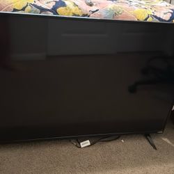 10 Year Old 55 Inch Visio TV