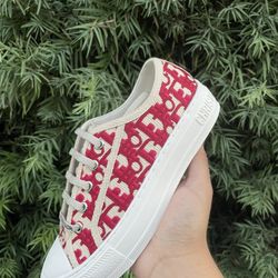 Dior Converse 