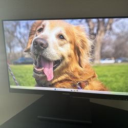 Monitor: Philips